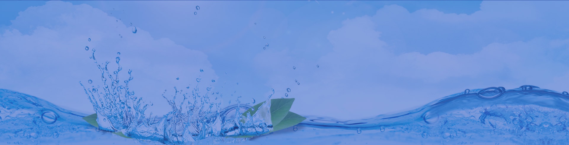 上海精其儀器有限公司